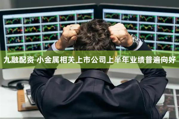 九融配资 小金属相关上市公司上半年业绩普遍向好