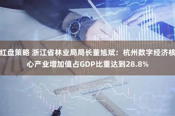 红盘策略 浙江省林业局局长董旭斌：杭州数字经济核心产业增加值占GDP比重达到28.8%